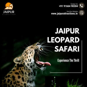 jhalana leopard safari jaipur