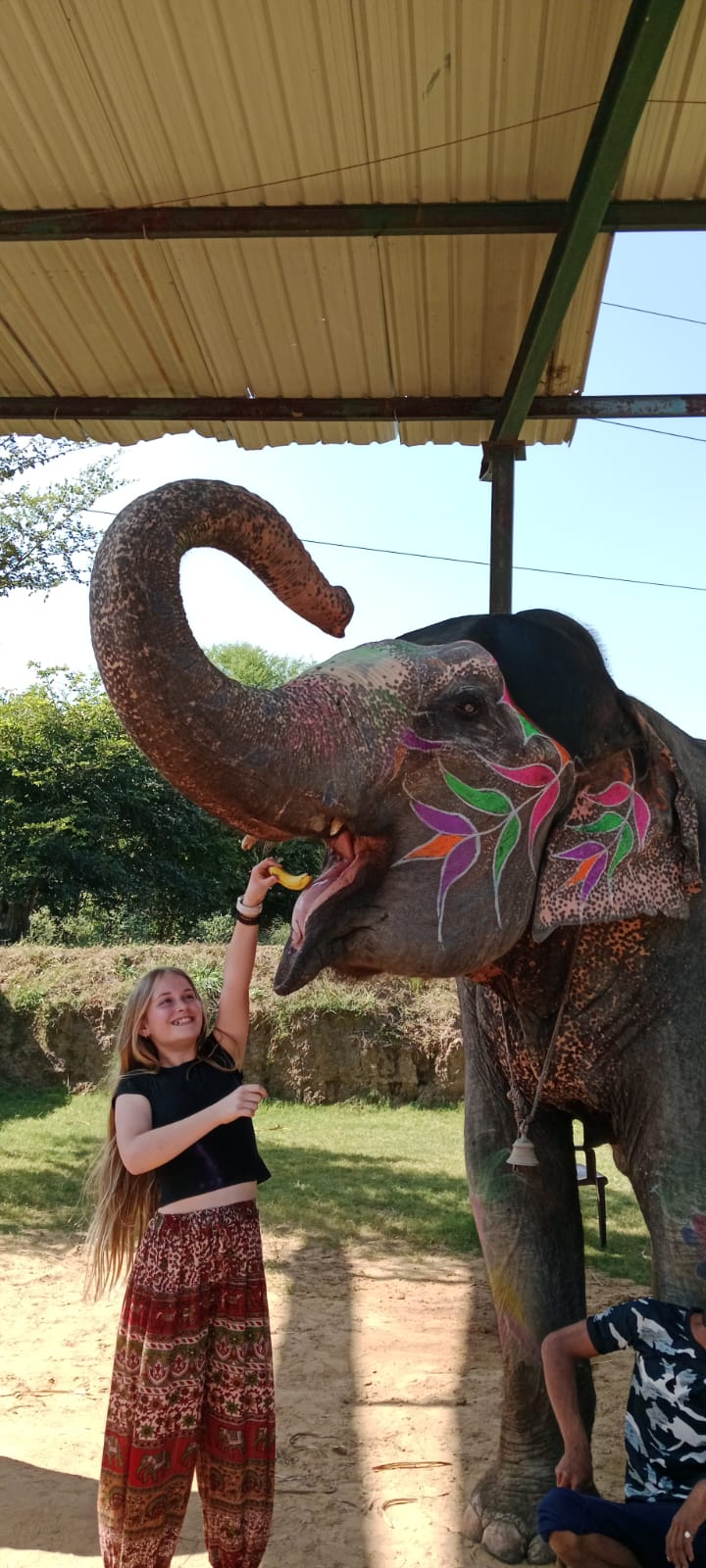 hathi gaon jaipur