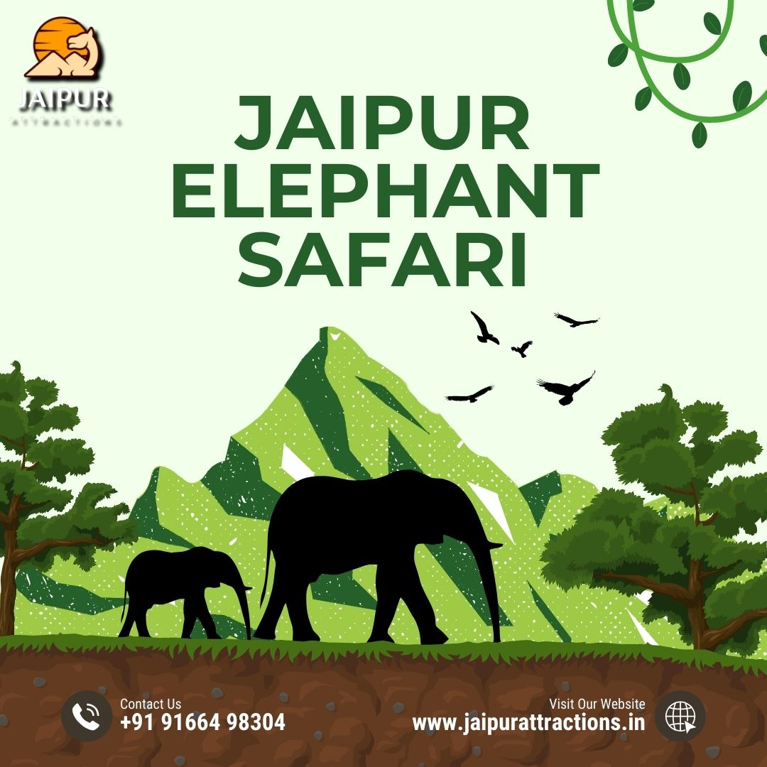 elephant tour jaipur